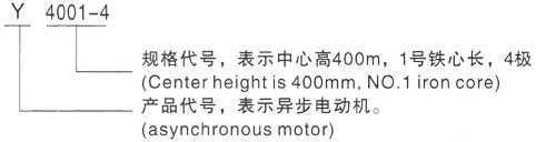 西安泰富西玛Y系列(H355-1000)高压YKS5603-12/630KW三相异步电机型号说明