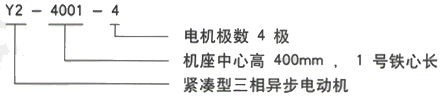 YR系列(H355-1000)高压YKS5603-12/630KW三相异步电机西安西玛电机型号说明